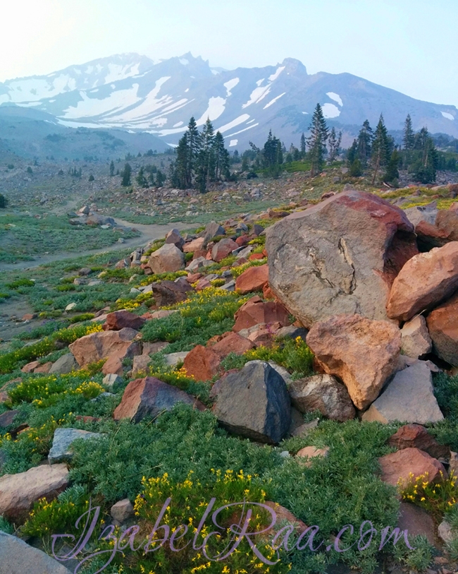 Mount Shasta